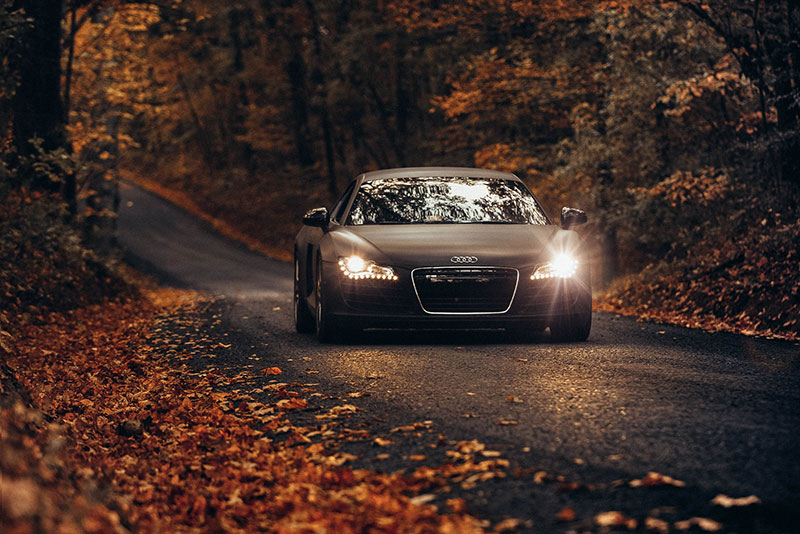 audi en forêt